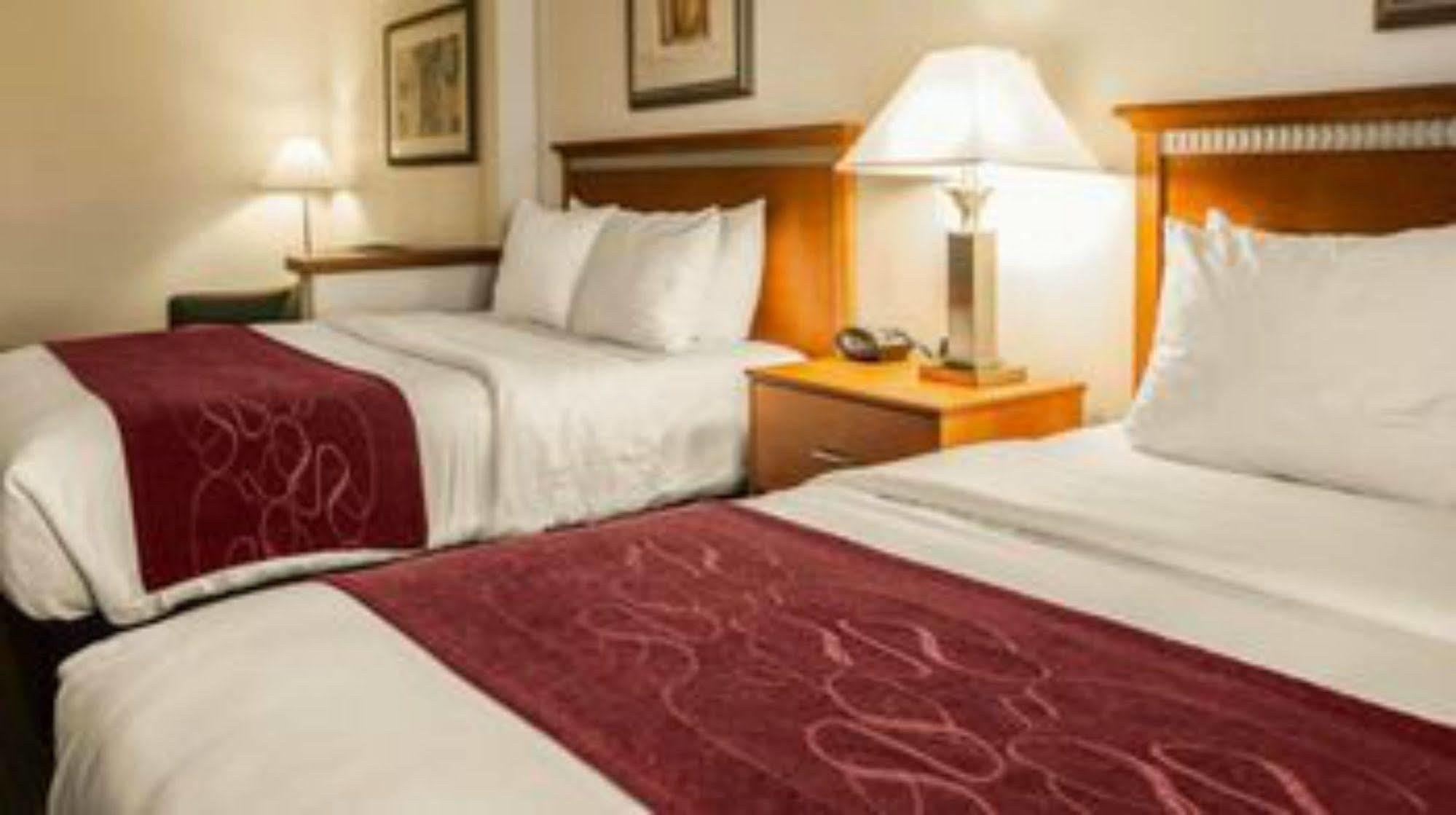 Kastor- Near Nehru Place Hotel New Delhi